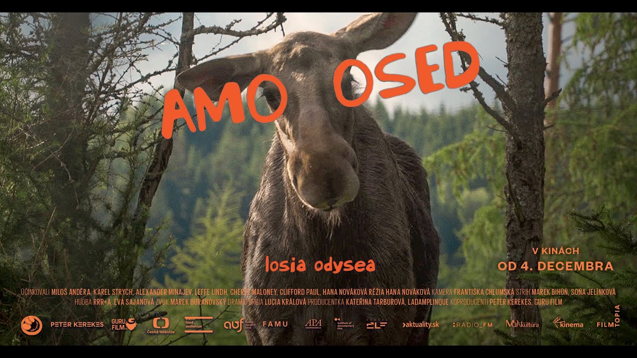 AMOOSED: losia odysea